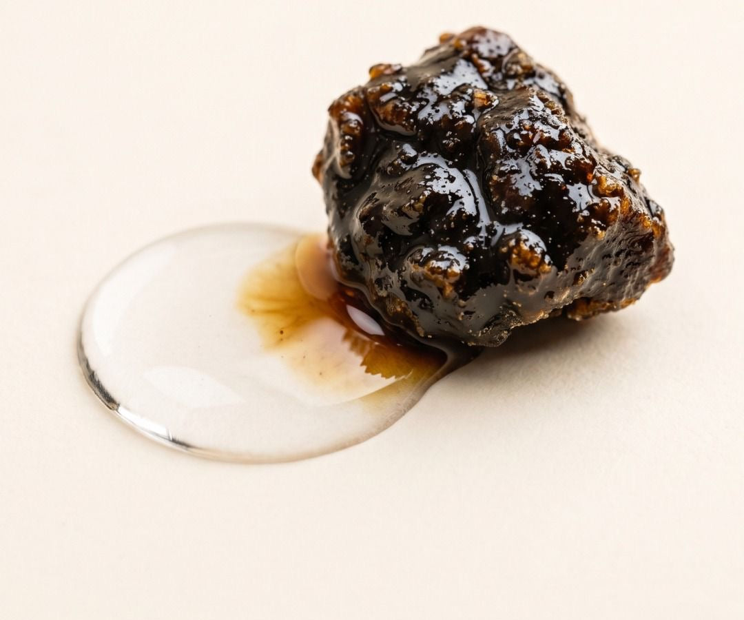 Close-up of shilajit resin texture